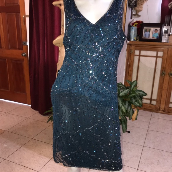 Pisarro Nights Dresses & Skirts - Pissarro nights size 16